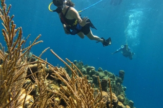SNUBA Diving in Roatan – Beach Access